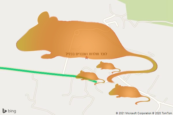 לוכד חולדות ועכברים בכליל