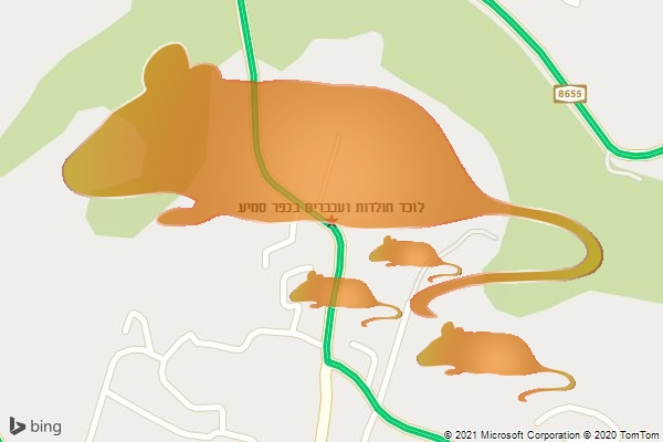 לוכד חולדות ועכברים בכפר סמיע