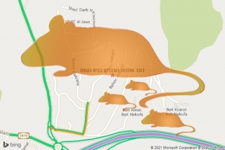 לוכד חולדה בבית נקופה - לוכד חולדות ועכברים בבית נקופה