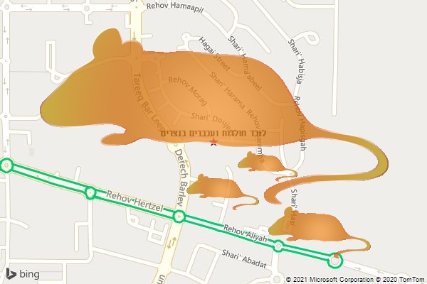 לוכד חולדות ועכברים בנצרים