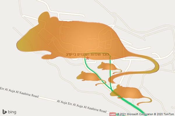 לוכד חולדות ועכברים בייט״ב