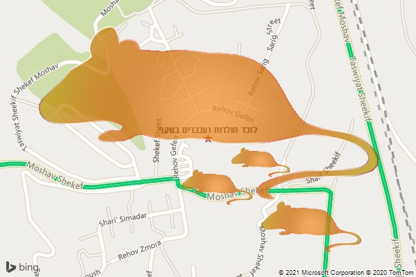 לוכד חולדות ועכברים בשקף