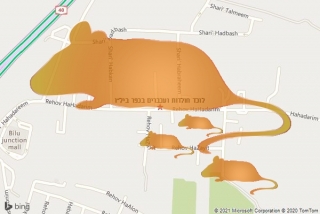 לוכד חולדה בכפר ביל״ו - לוכד חולדות ועכברים בכפר ביל״ו