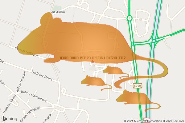 לוכד חולדות ועכברים בקיבוץ משמר השרון