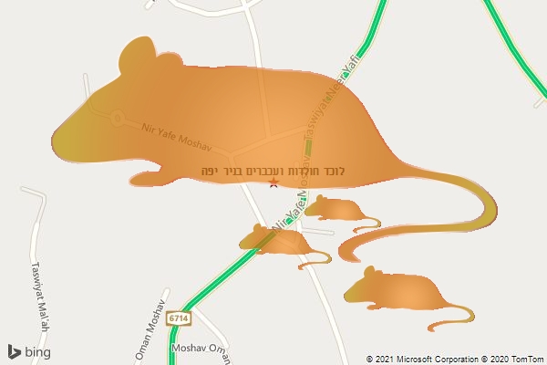 לוכד חולדות ועכברים בניר יפה