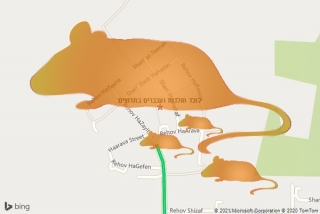 לוכד חולדה בחרוצים - לוכד חולדות ועכברים בחרוצים