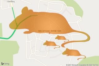 לוכד חולדה במצר - לוכד חולדות ועכברים במצר