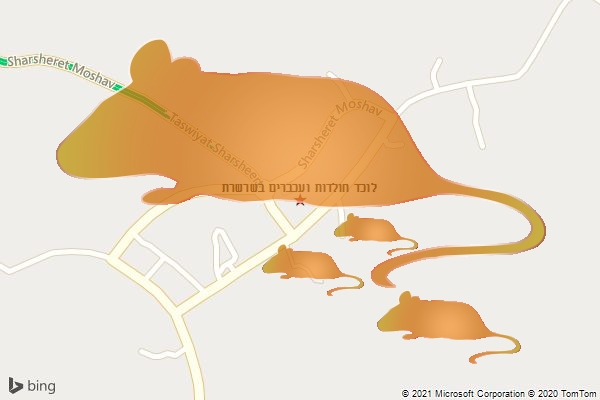 לוכד חולדות ועכברים בשרשרת
