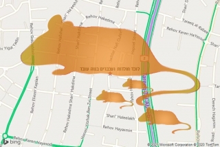 לוכד חולדה בנוה עובד - לוכד חולדות ועכברים בנוה עובד