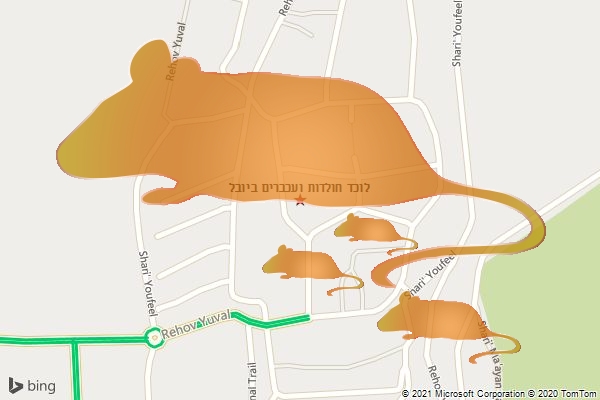 לוכד חולדות ועכברים ביובל