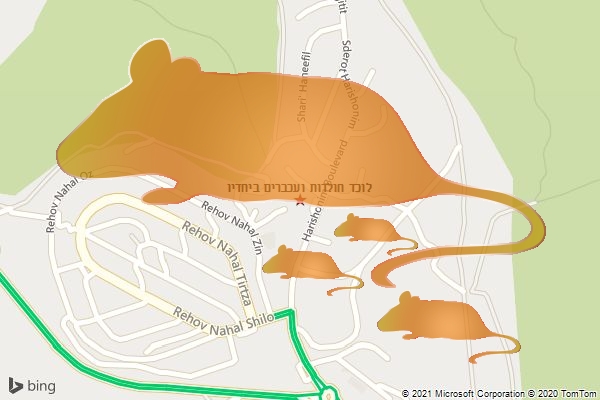 לוכד חולדות ועכברים ביחדיו