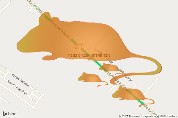 לוכד חולדות ועכברים בשפיר