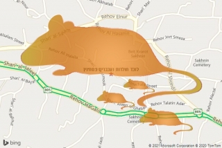  בסח׳נין - לוכד חולדות ועכברים בסח׳נין