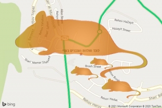 לוכד חולדה בעדי - לוכד חולדות ועכברים בעדי