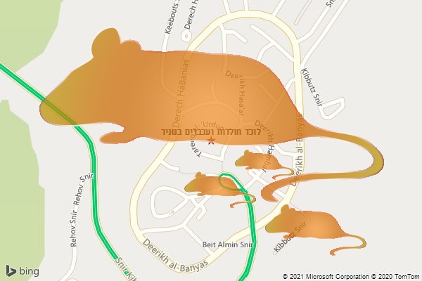 לוכד חולדות ועכברים בשניר