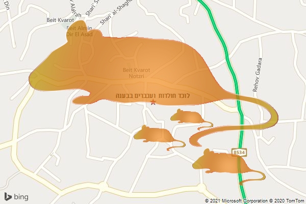 לוכד חולדות ועכברים בבענה