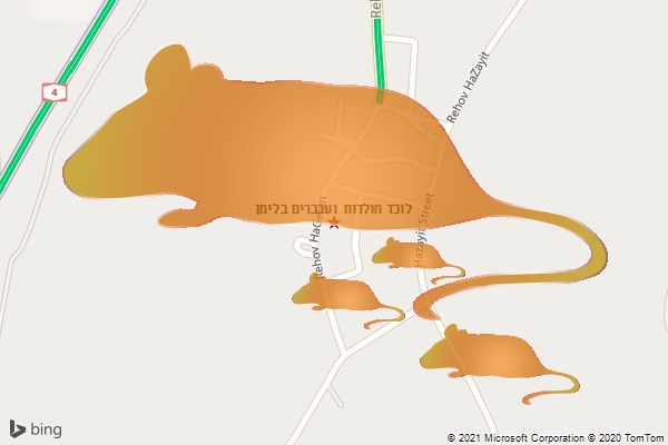 לוכד חולדות ועכברים בלימן
