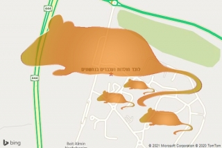 לוכד חולדה בנחשונים - לוכד חולדות ועכברים בנחשונים