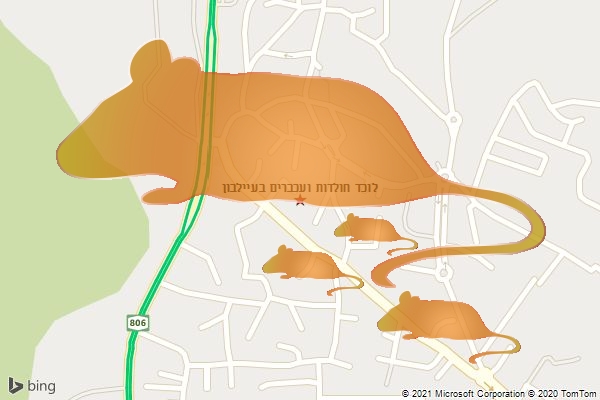 לוכד חולדות ועכברים בעיילבון