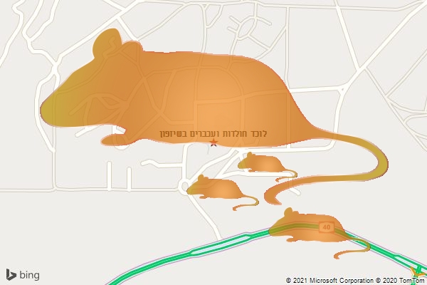לוכד חולדות ועכברים בשיזפון