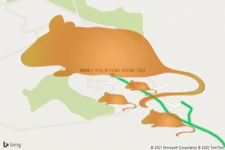 לוכד חולדה בדיר ראפאת - לוכד חולדות ועכברים בדיר ראפאת