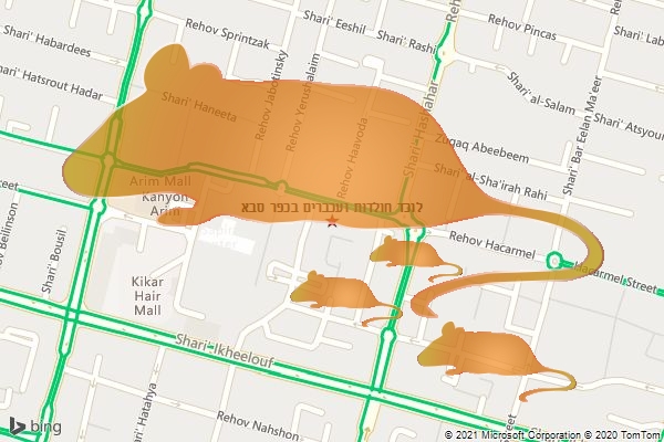 לוכד חולדות ועכברים בכפר סבא