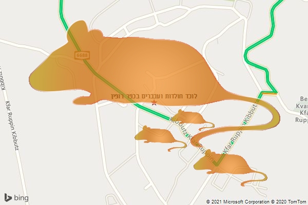 לוכד חולדות ועכברים בכפר רופין