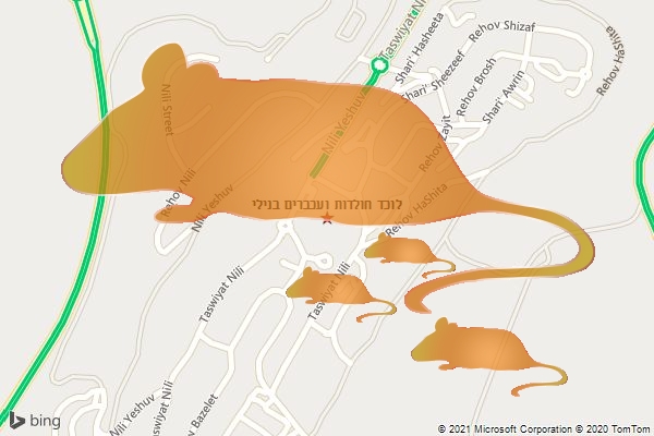 לוכד חולדות ועכברים בנילי