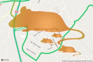 לוכד חולדה בעופרה - לוכד חולדות ועכברים בעופרה
