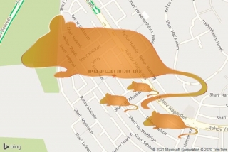 לוכד חולדה בריחן - לוכד חולדות ועכברים בריחן