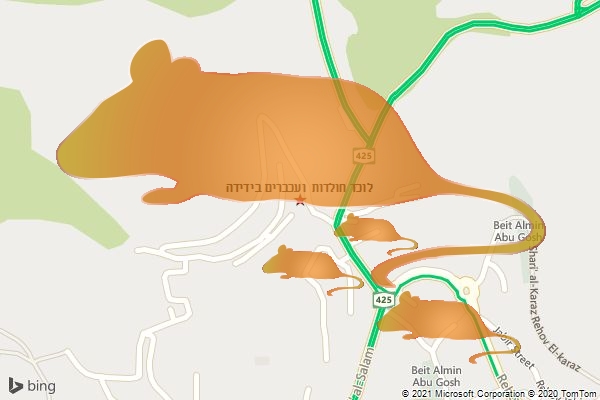 לוכד חולדות ועכברים בידידה