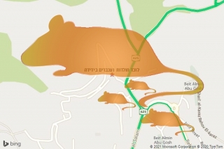 לוכד חולדה בידידה - לוכד חולדות ועכברים בידידה