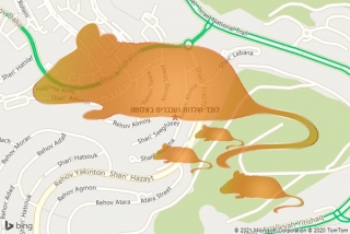  באלומה - לוכד חולדות ועכברים באלומה