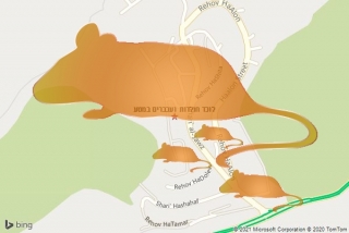 לוכד חולדה במטע - לוכד חולדות ועכברים במטע