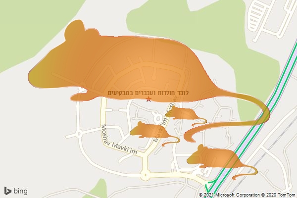 לוכד חולדות ועכברים במבקיעים