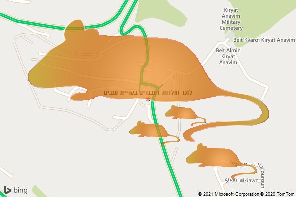 לוכד חולדות ועכברים בקריית ענבים