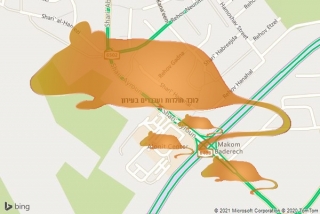 לוכד חולדה בעירון - לוכד חולדות ועכברים בעירון