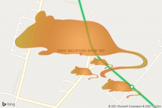 לוכד חולדה בכפר ורבורג - לוכד חולדות ועכברים בכפר ורבורג