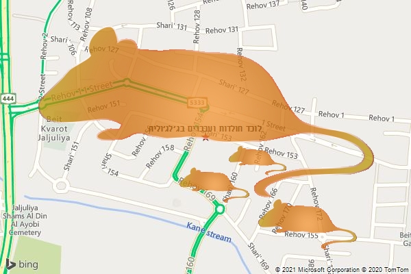 לוכד חולדות ועכברים בג׳לג׳וליה