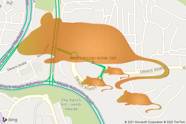 לוכד חולדות ועכברים בענתות