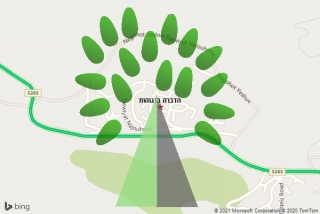 מדביר בנגוהות - הדברה בנגוהות