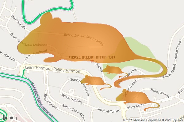 לוכד חולדות ועכברים בציפורי