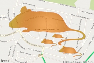  באליכין - לוכד חולדות ועכברים באליכין