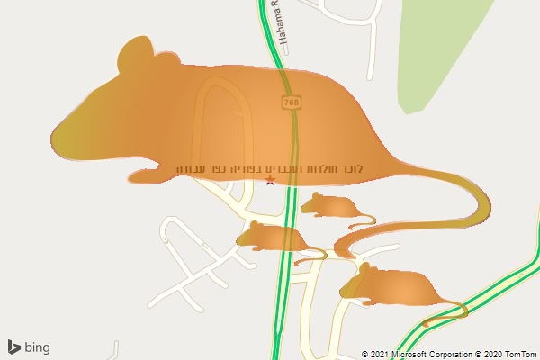 לוכד חולדות ועכברים בפוריה כפר עבודה