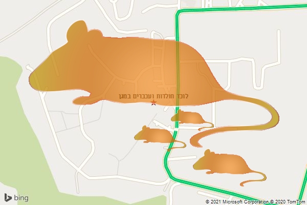 לוכד חולדות ועכברים במגן