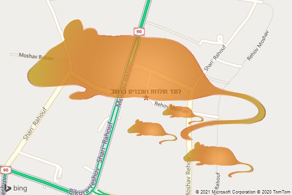 לוכד חולדות ועכברים ברחוב