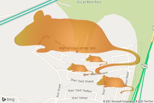 לוכד חולדות ועכברים בקציר