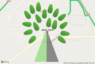מדביר בגיתית - הדברה בגיתית
