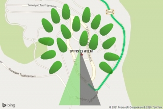 מדביר בצפרירים - הדברה בצפרירים