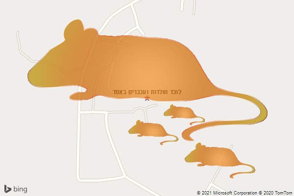 לוכד חולדות ועכברים באסד